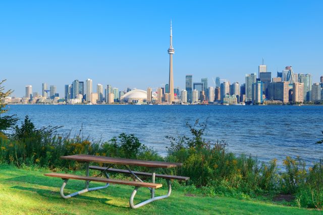 toronto skyline from park