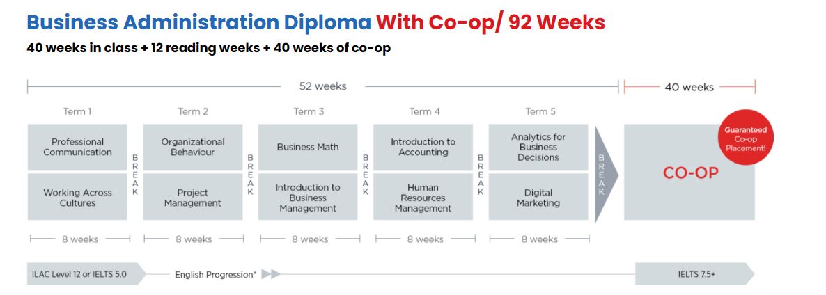 Business Administration Diploma With Co op 92 Weeks