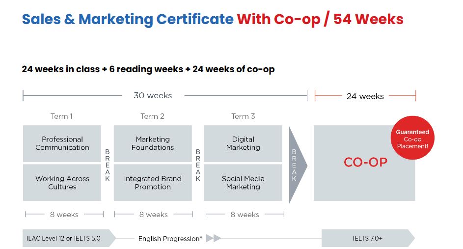 Sales Marketing Certificate With Co op 54 Weeks