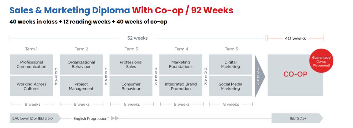 Sales Marketing Diploma With Co op 92 Weeks