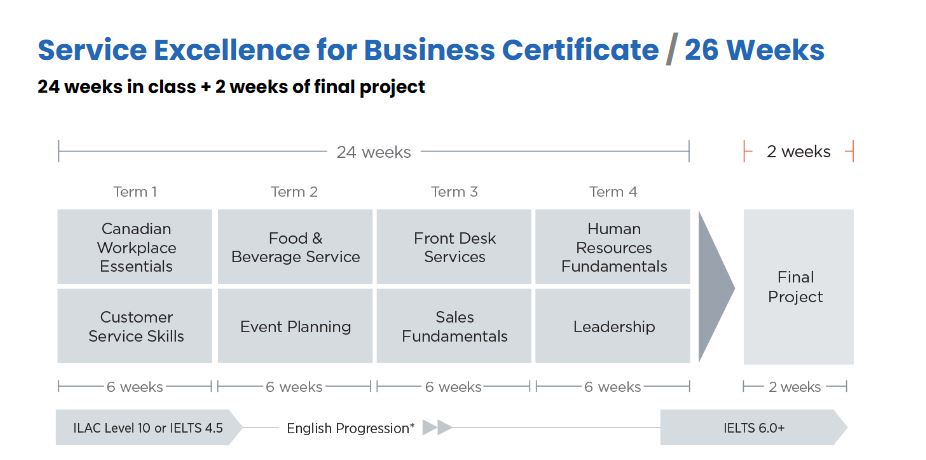 Service Excellence for Business Certificate 26 Weeks